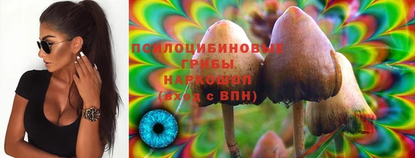 ПСИЛОЦИБИНОВЫЕ ГРИБЫ Нягань