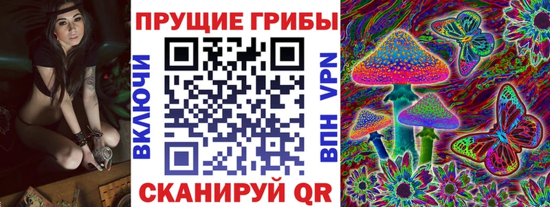 mega как войти  Отрадное  Галлюциногенные грибы ЛСД 